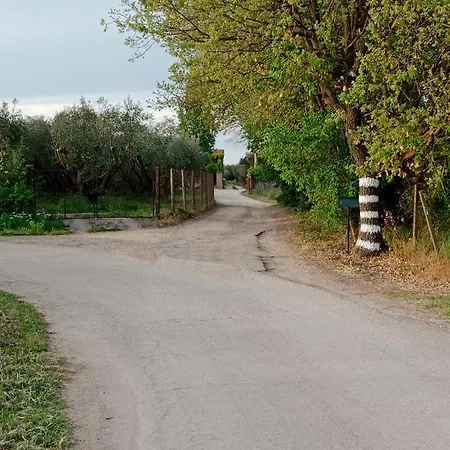 Selva Castalda Πανσιόν